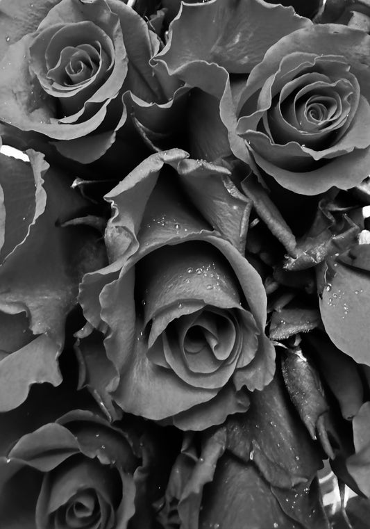 Don’t let your love die
