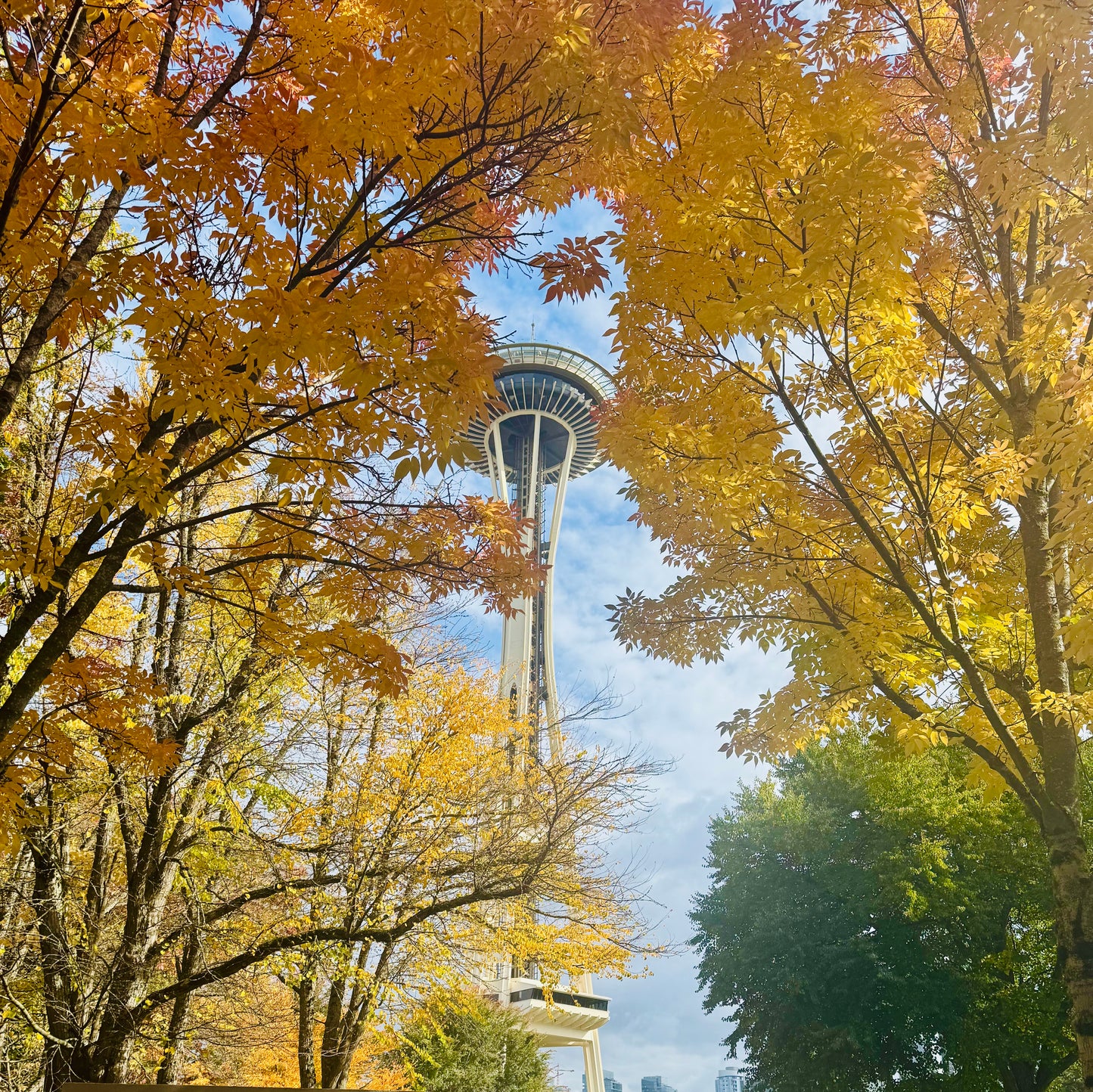 Autumn in Seattle